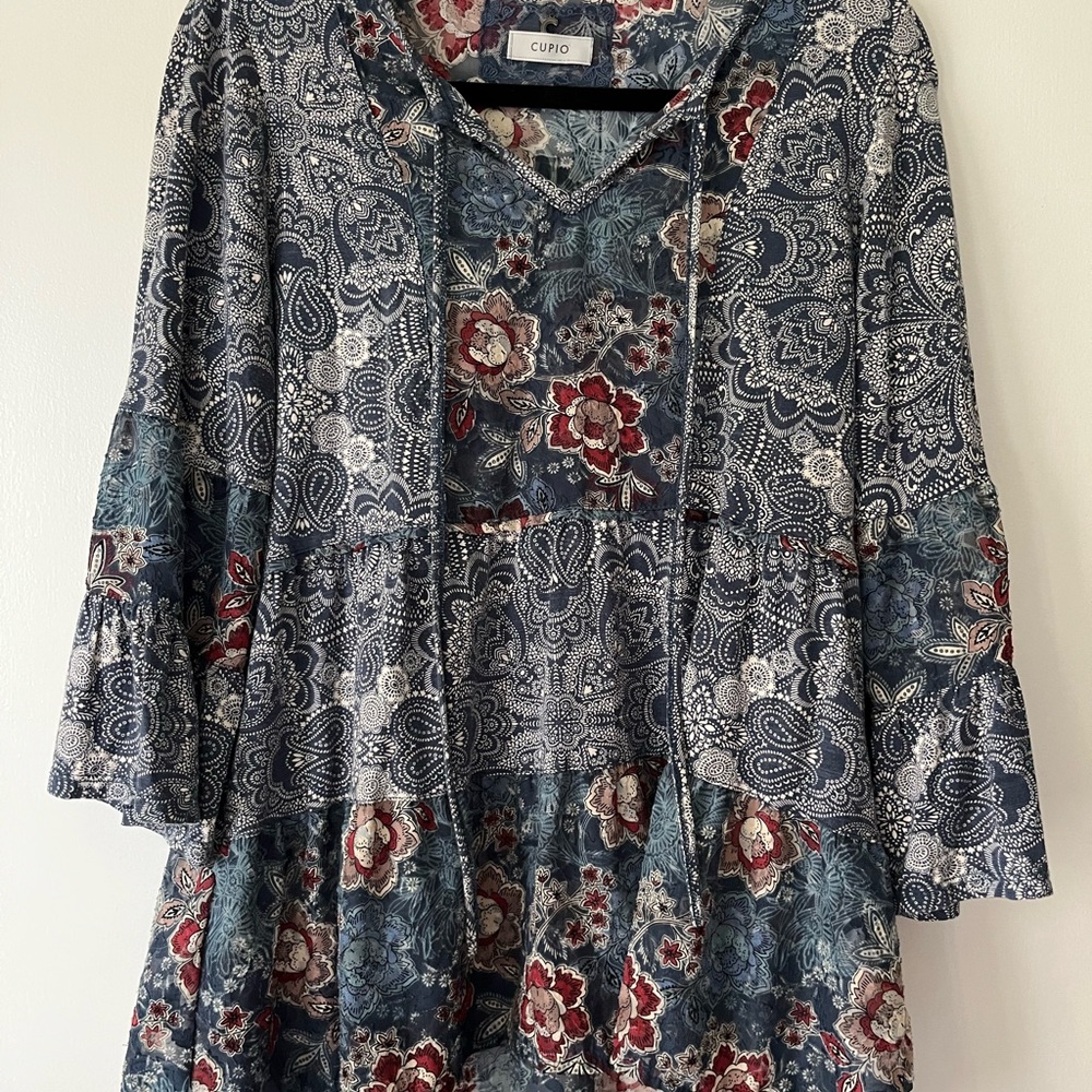 Cupio Floral Blue and Pink Dress